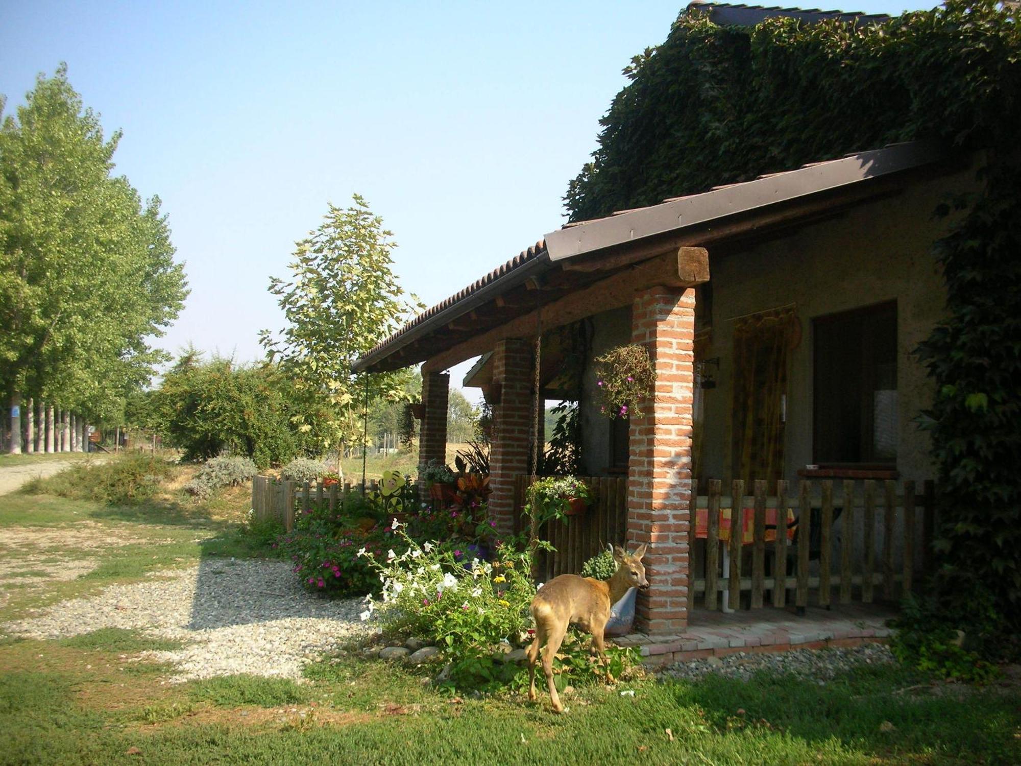 Cascina Beneficio Villa Castelnuovo Bormida Exteriör bild