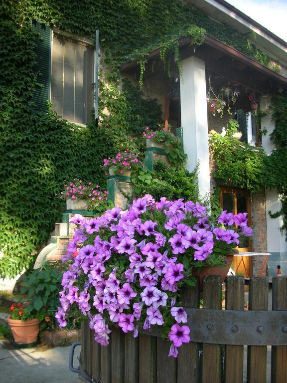 Cascina Beneficio Villa Castelnuovo Bormida Exteriör bild